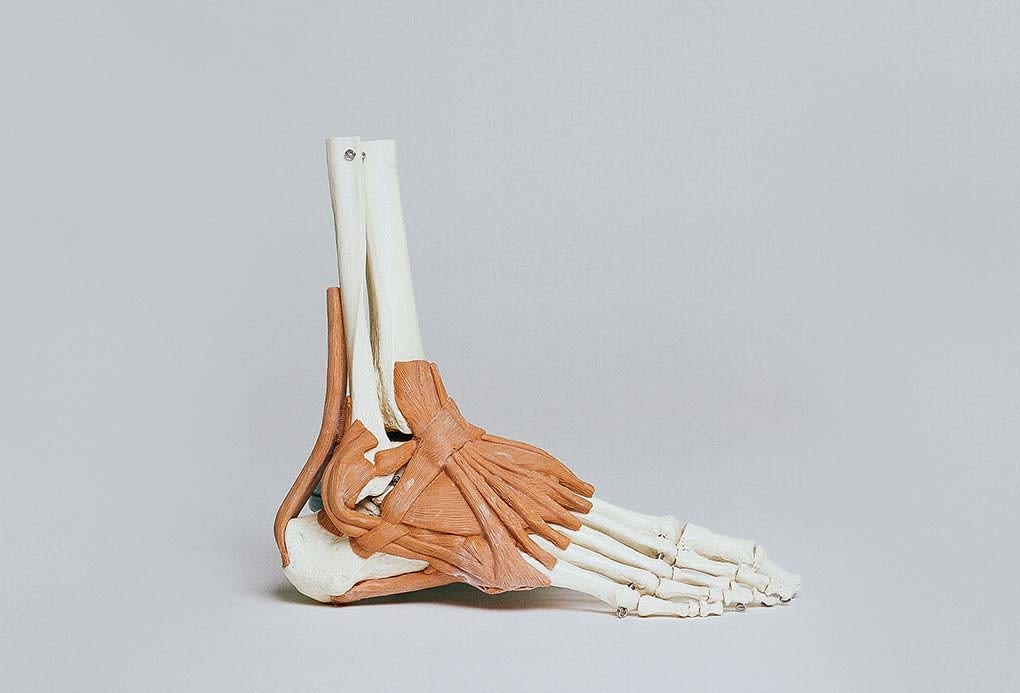 Reeducação Postural Global