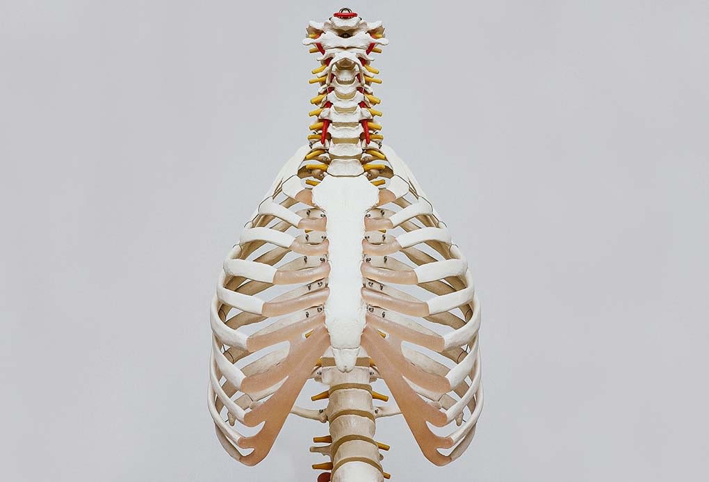 Reeducação Postural Global